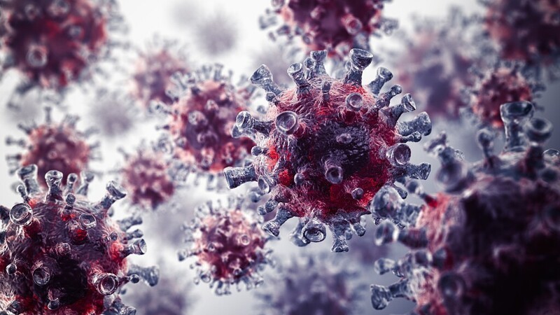 Российский штамм: ученые выявили у пациентки 18 мутаций коронавируса