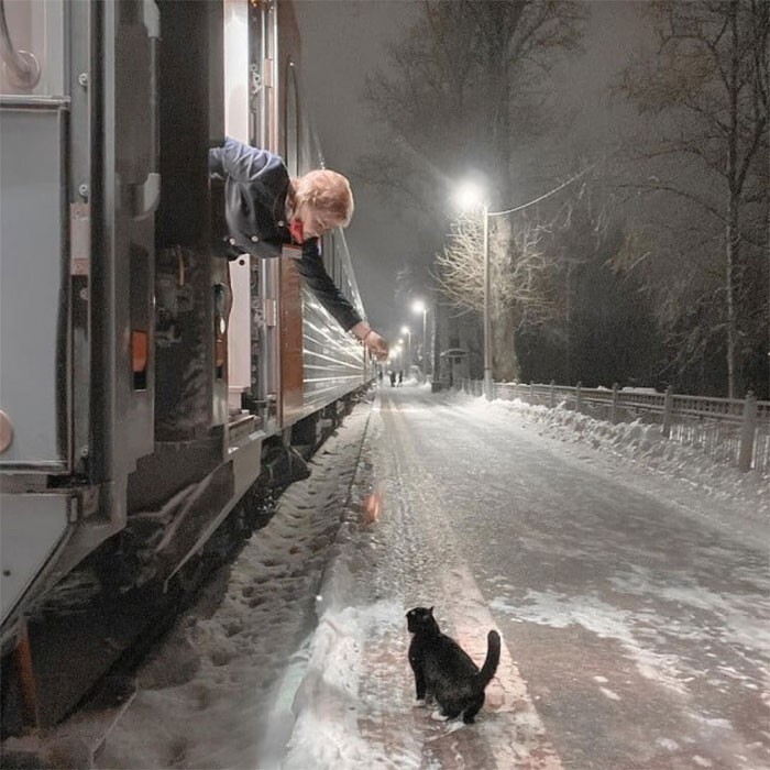 Проводница поезда Псков-Москва кормит кота Феликса, который каждый день приходит на станцию Старая в 22:40. Все проводницы уже знают этого котяру, и всегда готовят для него вкусности, чтобы накормить во время остановки