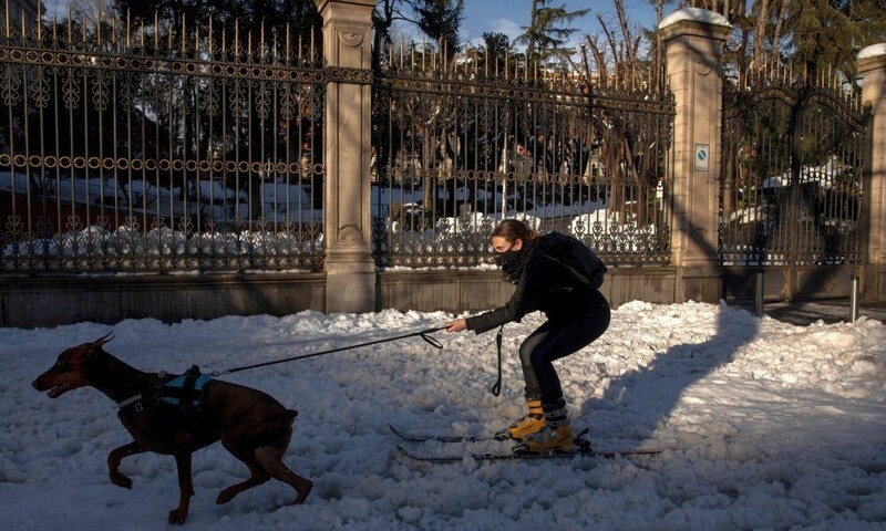 Фотоподборка