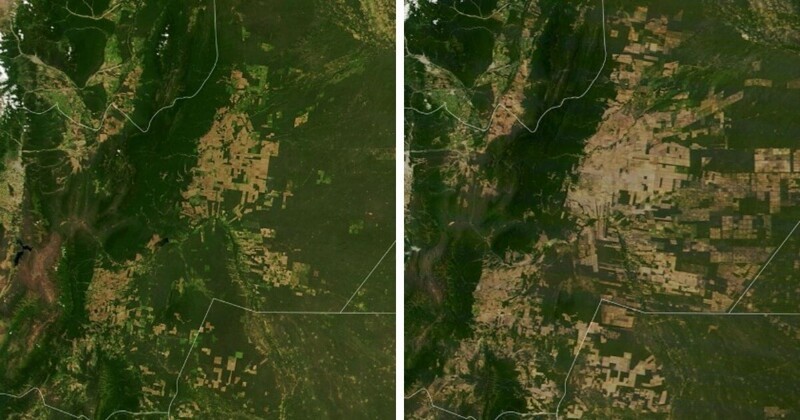 Исчезновение лесов в регионе Гран-Чако, Южная Америка