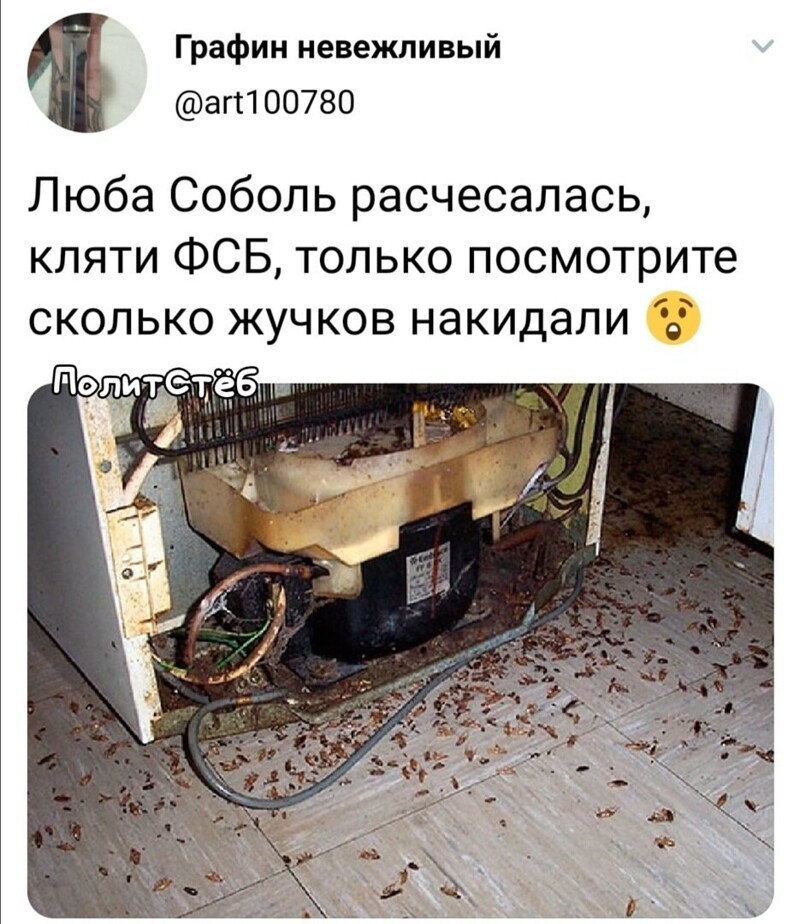О политике и не только