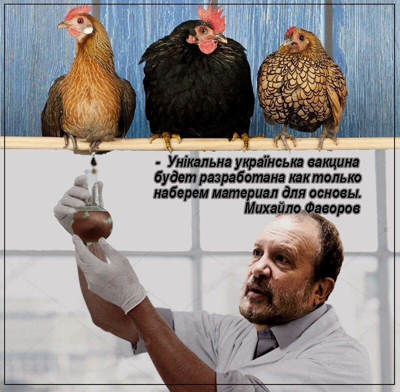 Политические комментарии и другой разный юмор с сарказмом и без = 2