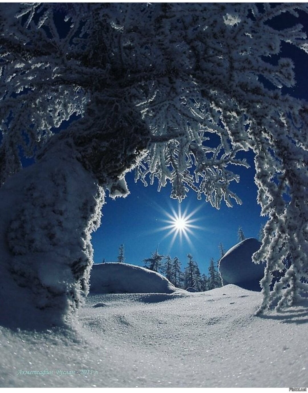 Красивая зима ночь. Зимний пейзаж. Снежный пейзаж. Зима ночь. Зимний ночной пейзаж.