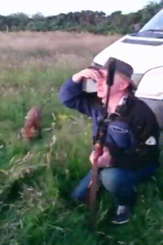 Просто гифки, всякие и разные