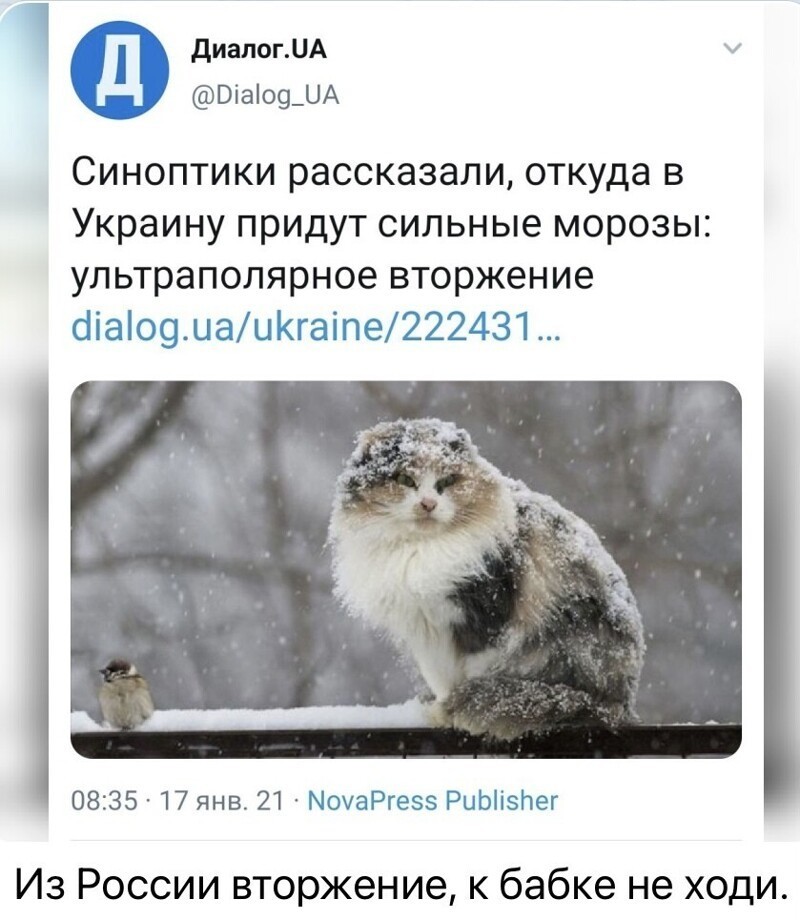 Политические комментарии и другой разный юмор с сарказмом и без = 2