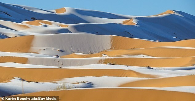 Пустыня Сахара покрылась льдом, а в Саудовской Аравии выпал снег