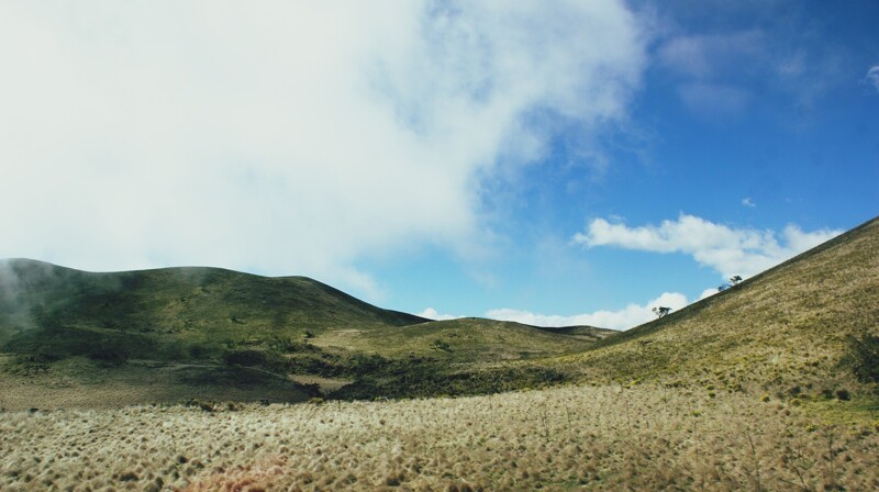15. Эверест - самая высокая гора над уровнем моря, но не от основания до вершины. Высота гавайской горы Мауна-Кеа - 10 211 метров от основания до пика, однако лишь 4205 метров из них находятся над уровнем моря