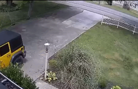 Ничто не предвещало беды