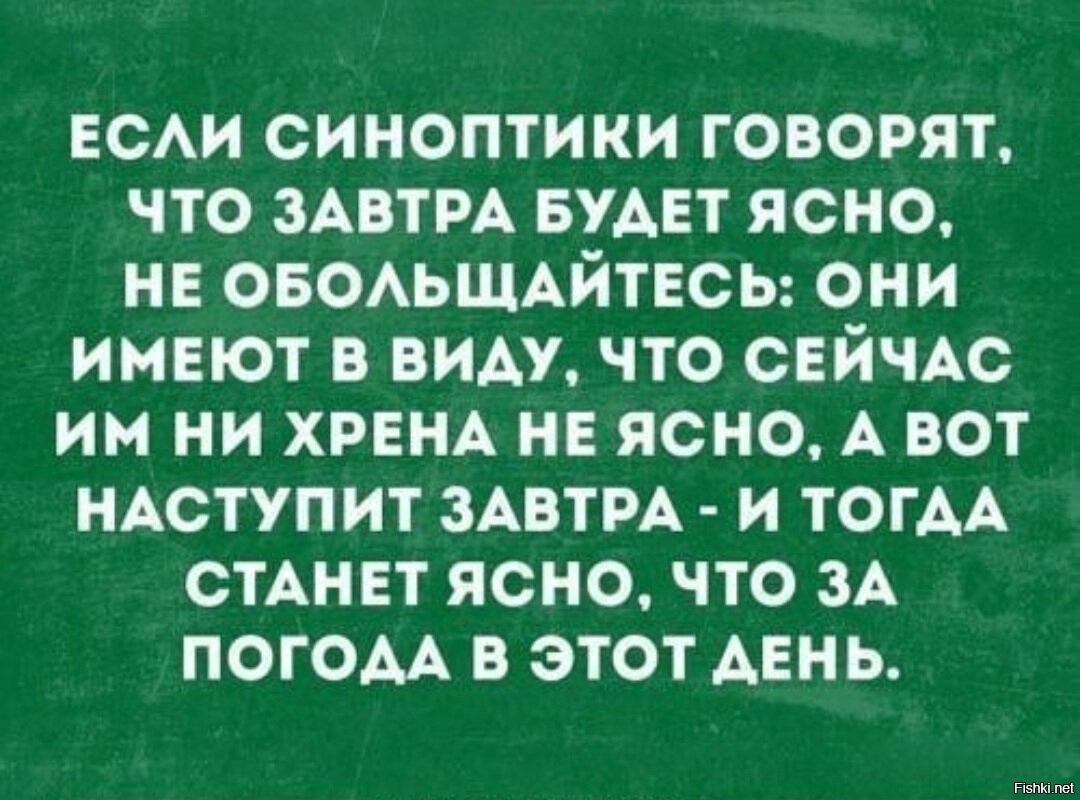 Четко и ясно быть. Если синоптики говорят что завтра будет. Если синоптики говорят ясно. Синоптик сказал что будет ясно. Синоптики сказали что завтра будет ясно.