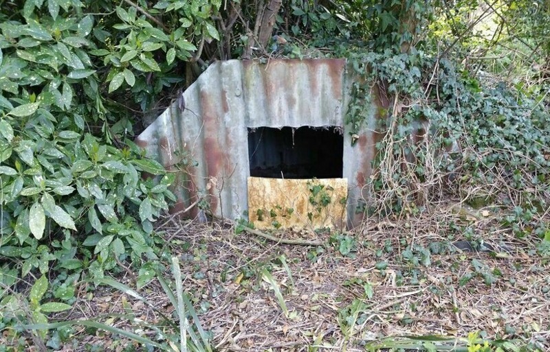 Семейный бункер во дворе дома: как британцы прятались от авианалетов фашистов