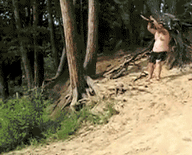 Летние гифки