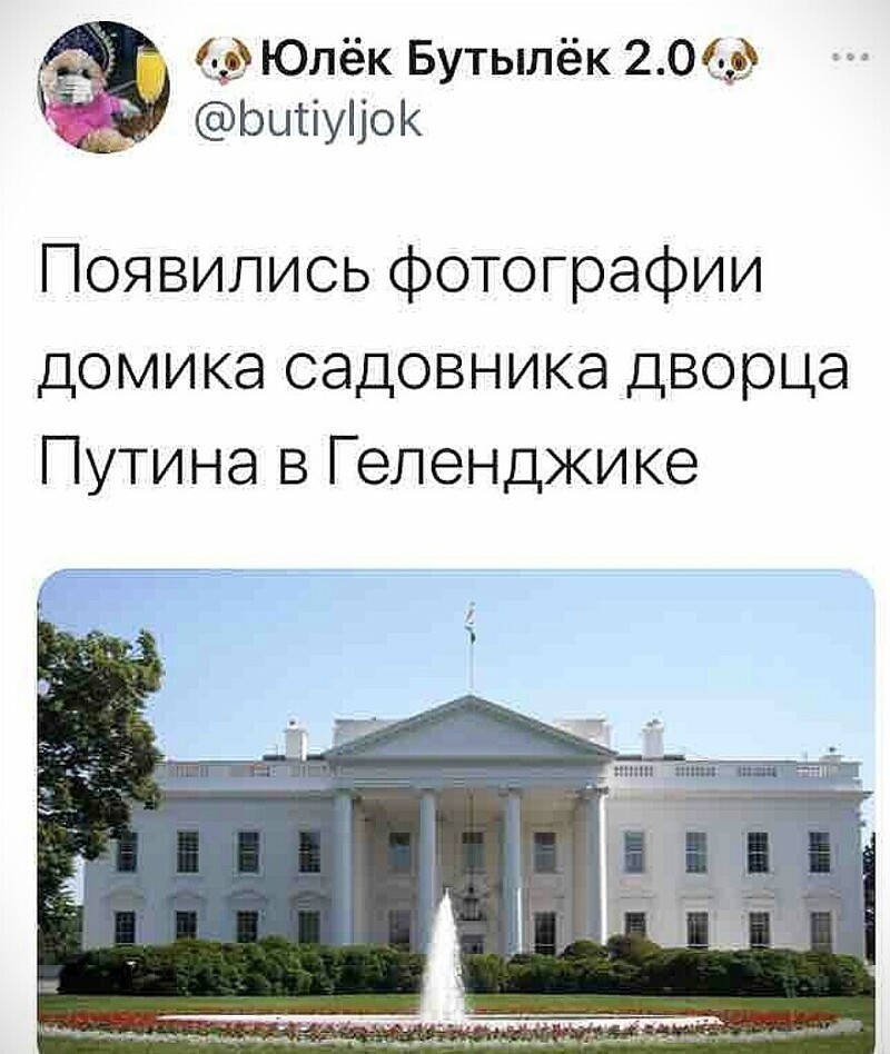 О политике и не только