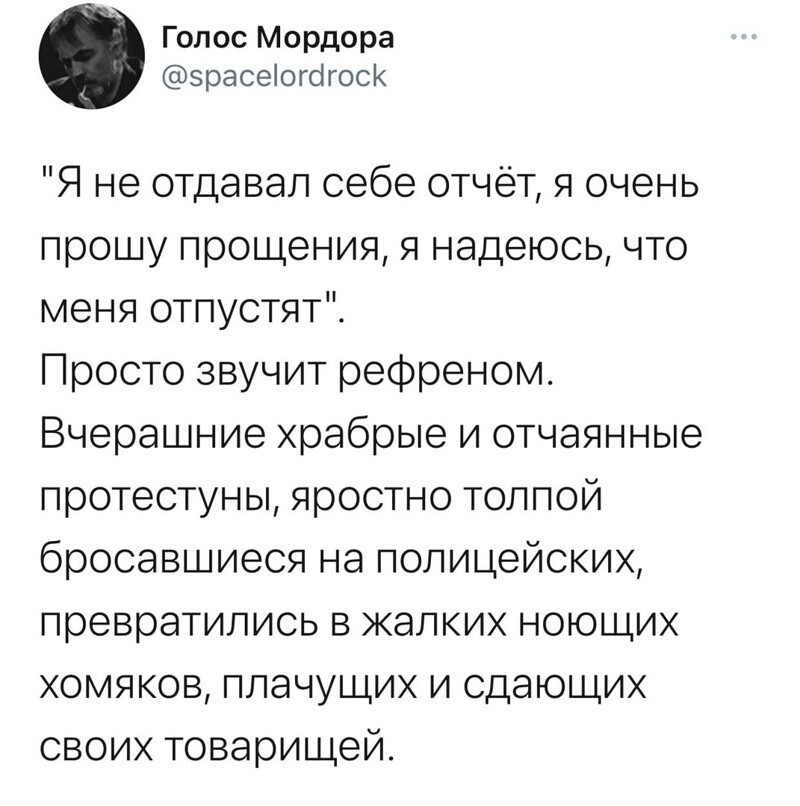 О политике и не только