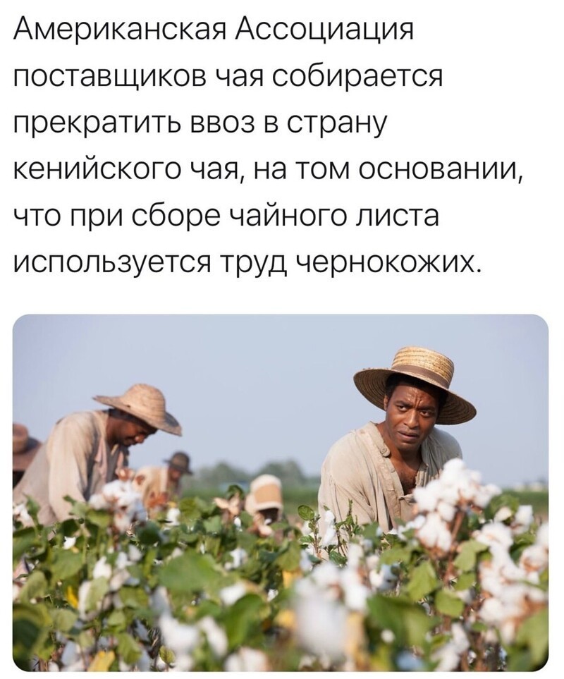 О политике и не только