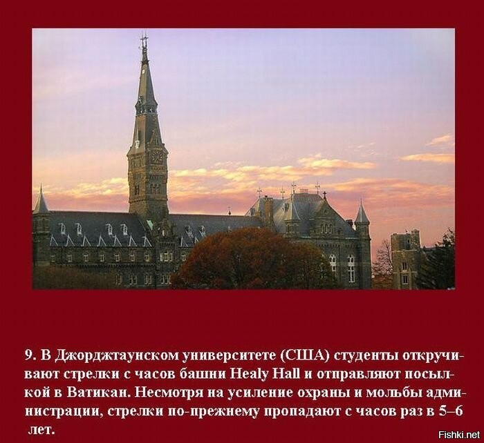 интересные факты о дне студента. удивительные факты о пиве. интересные факты о студентах. самые интересные факты о студенчестве и традиции.