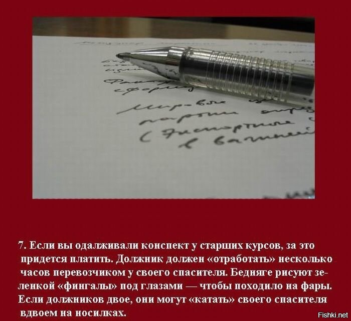 самые интересные факты о студенчестве и традиции