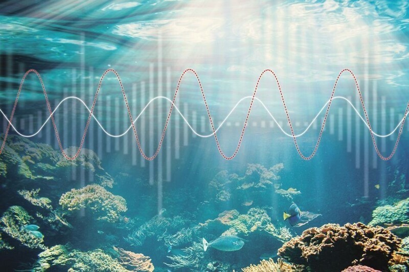 13. Под водой звук распространяется в 4 раза быстрее, чем в воздухе
