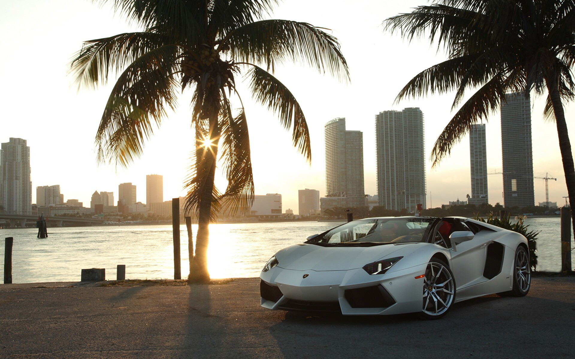 Lamborghini Aventador lp700-4 Roadster Silver