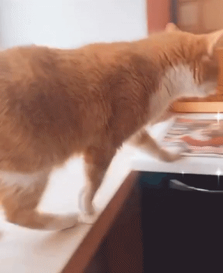 Вот и хлебница пригодилась