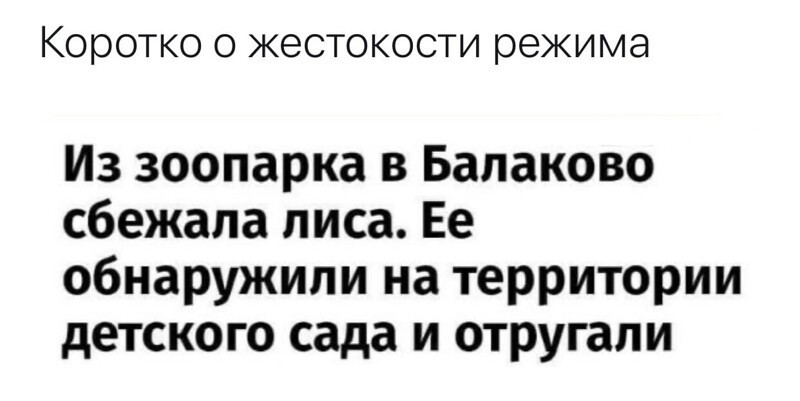 О политике и не только