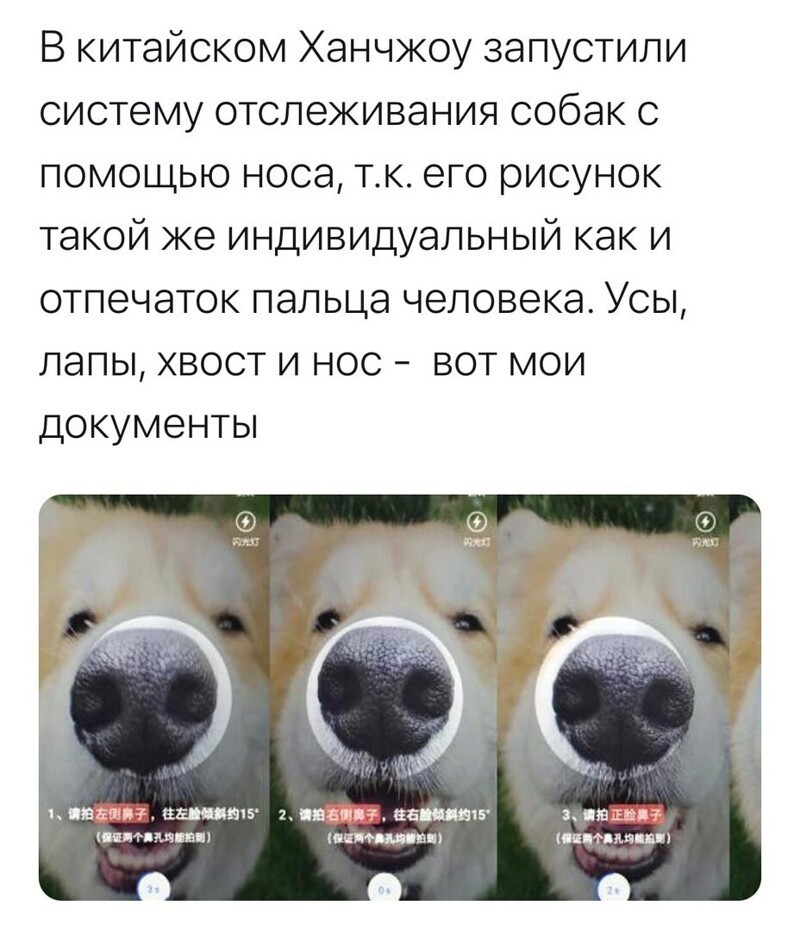Политические комментарии и другой разный юмор с сарказмом и без