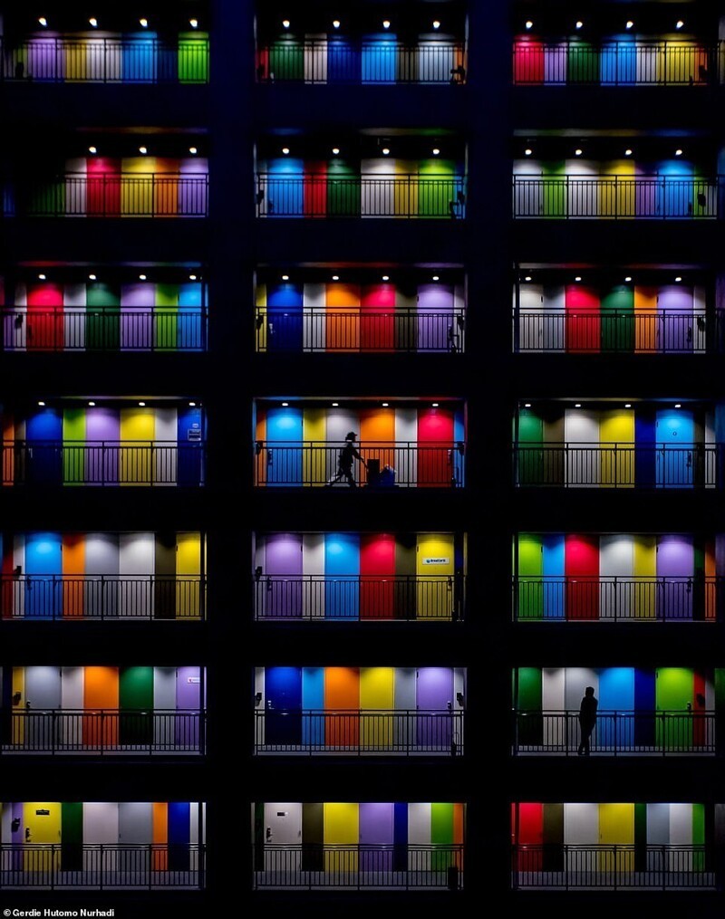Герди Хутомо Нурхади - "Разноцветные двери: жилой дом в токийском районе Одаиба"