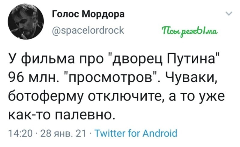 О политике и не только