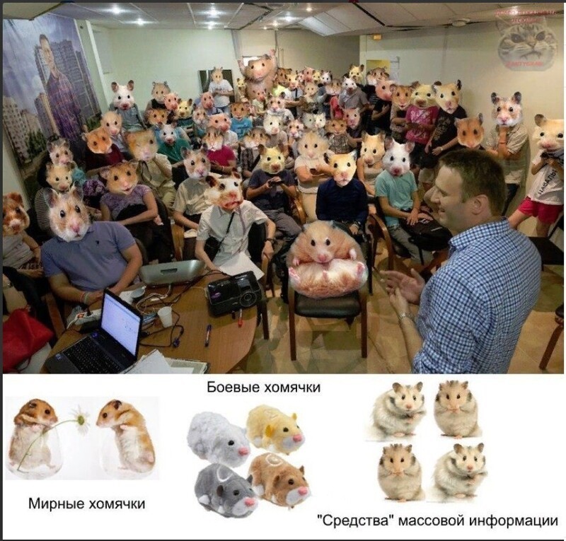 О политике и не только