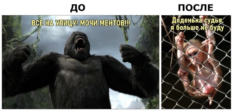 О политике и не только