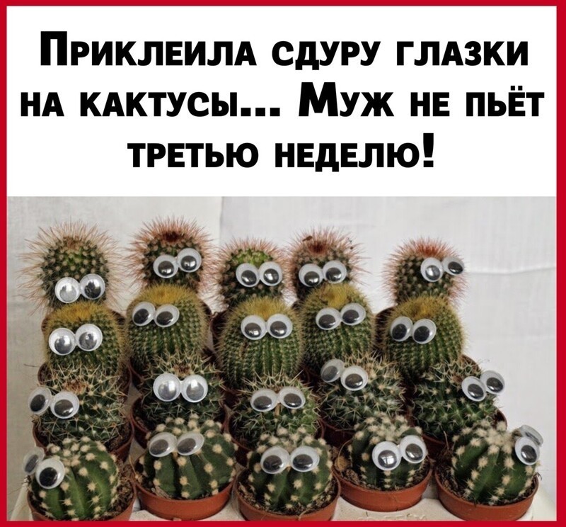 Веселые  картинки