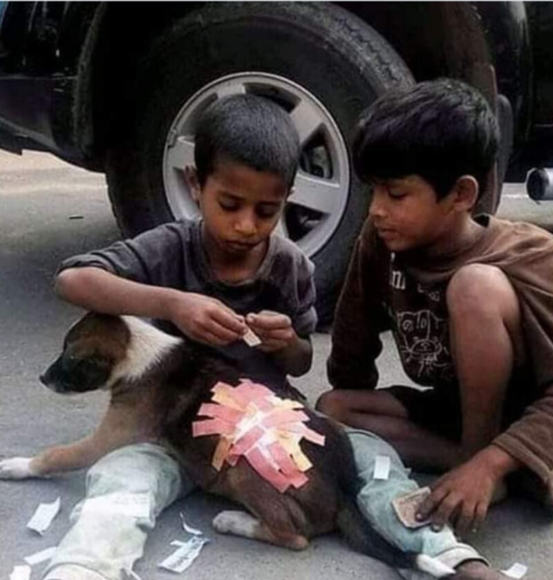 Спасение щенка в Индии.
