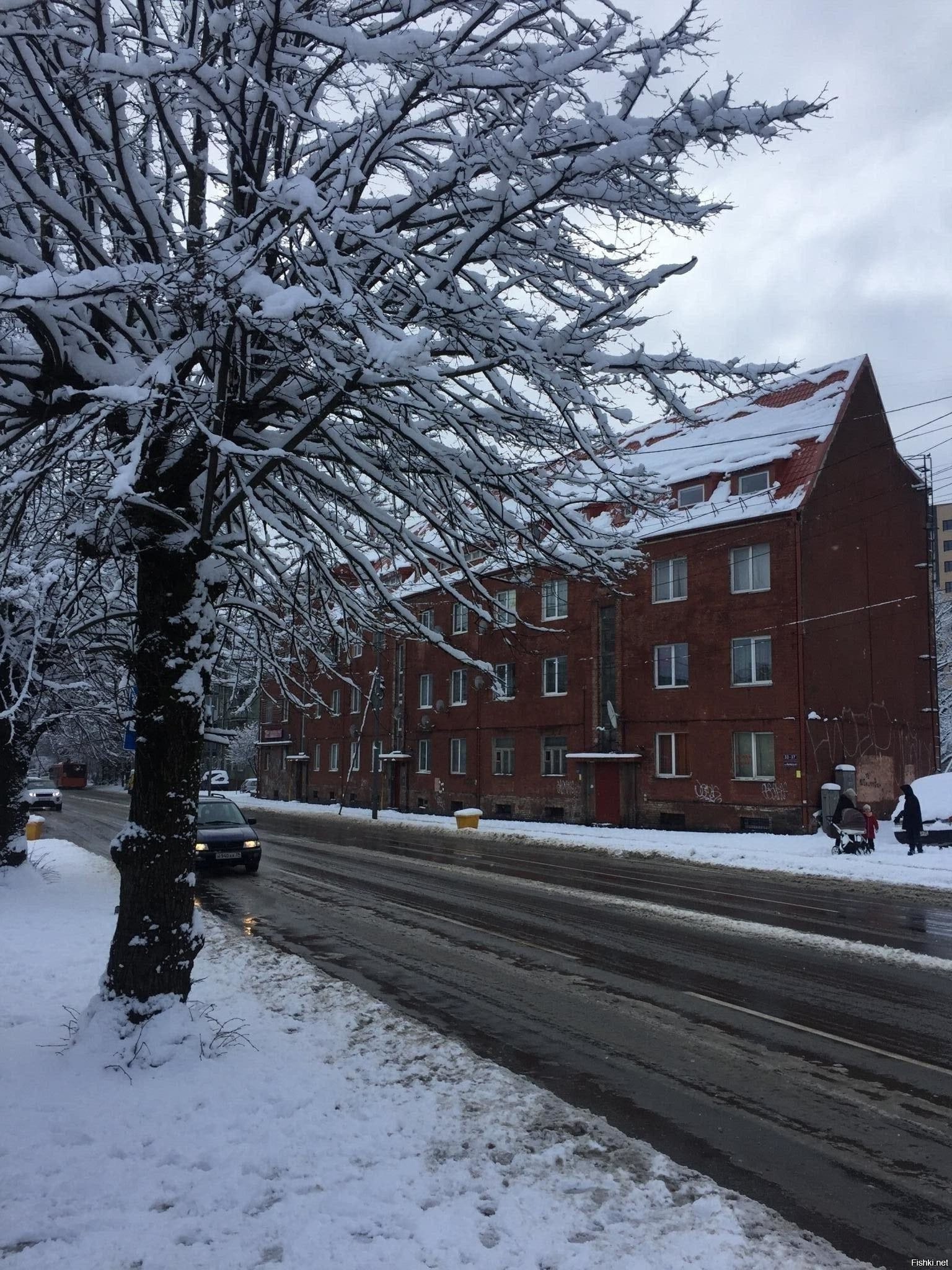 Снег в Калининграде