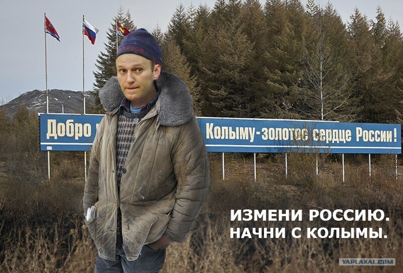 С юмором в предверии 31января