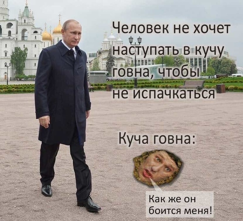 О политике и не только
