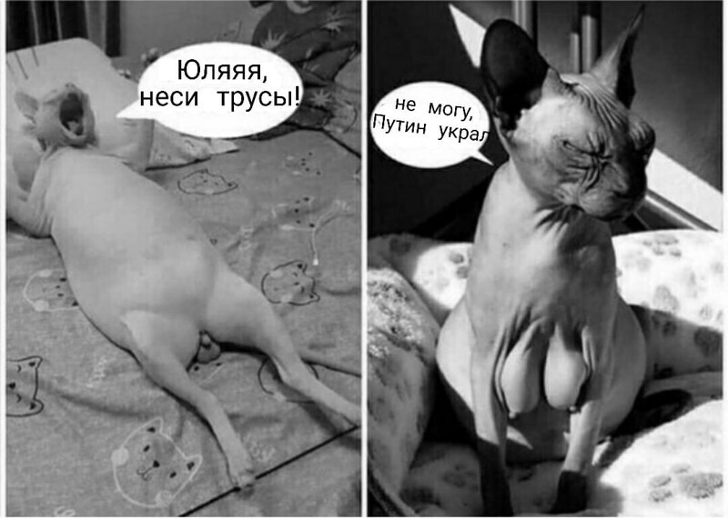 О политике и не только