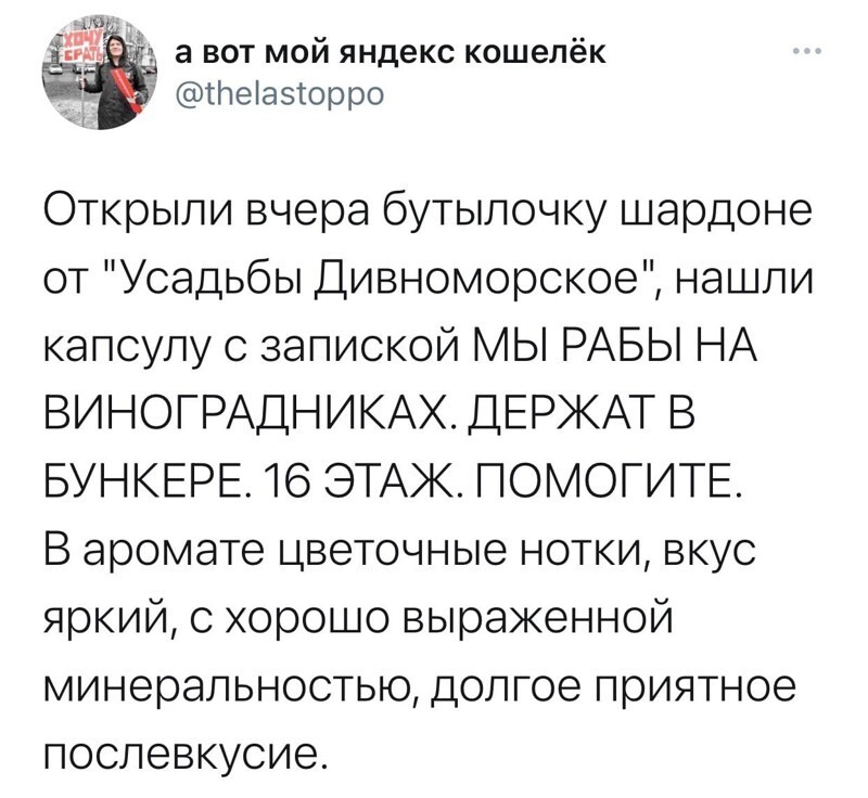 О политике и не только