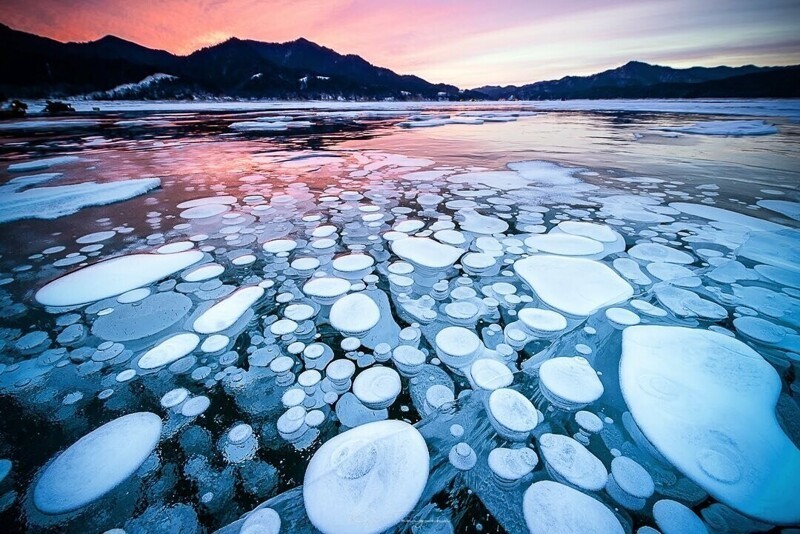 Фантастическое явление: ледяные пузыри на озере Нукабира