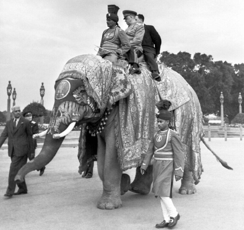 Маршал Жуков на слоне во время дипломатического визита в Индию, Дели, 1957 год