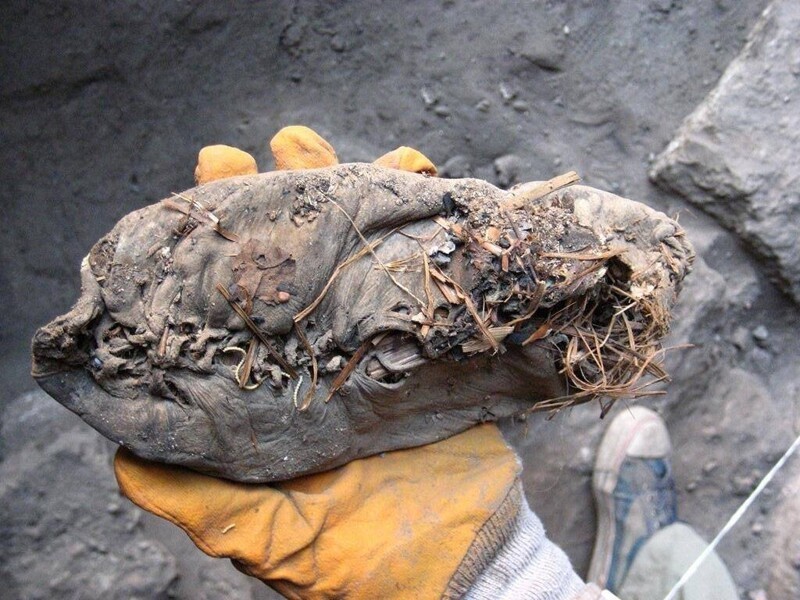 Самая древняя обувь в мире возрастом 5500 лет.