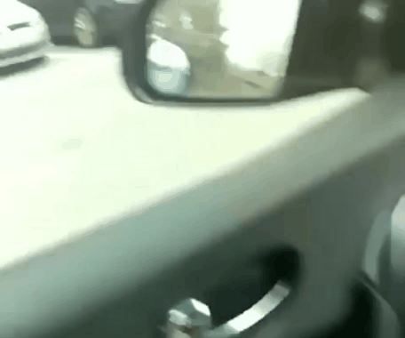 Просто собака выгуливает человека