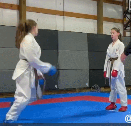 Отправила в нокаут