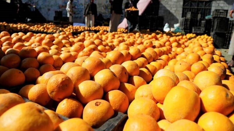 30 кило апельсинов на четверых: на что только не пойдешь, чтобы не платить за багаж!