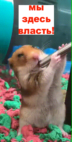 О политике и не только