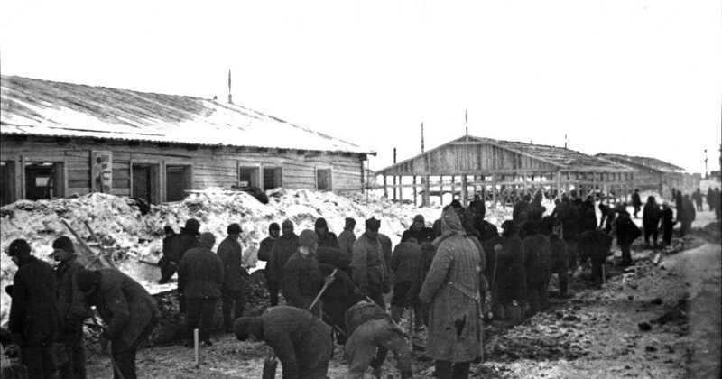 Пятая часть обитателей ГУЛАГа находилась в лагерях за незначительные преступления