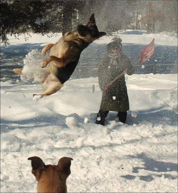 Намешалось