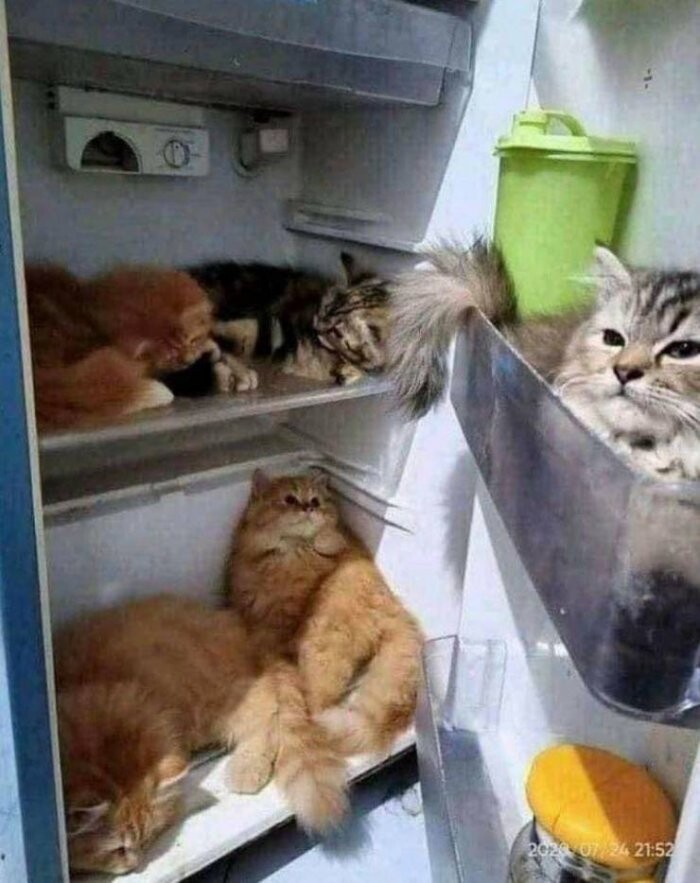 Намешалось
