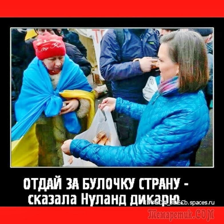 Нуланд с печеньками картинки