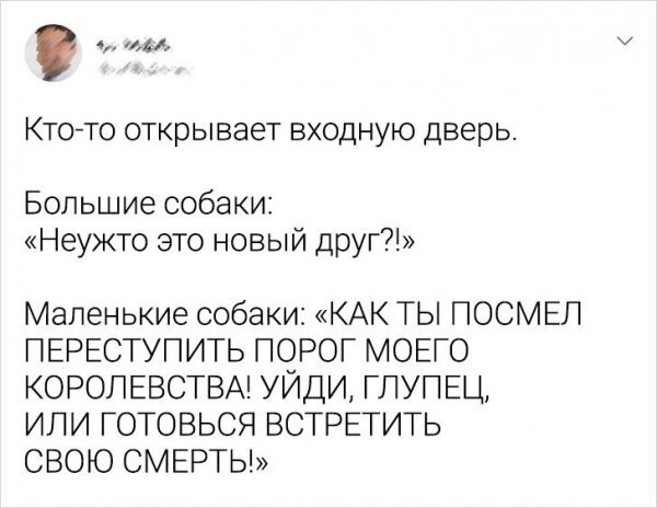 Скрины из соцсетей