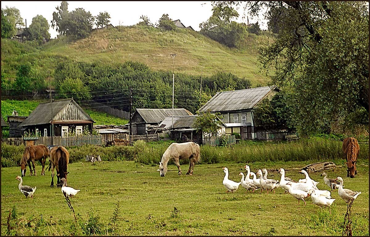 Нужна целая деревня. Природа деревня. Вид на деревню. Сельская местность. Жизнь в деревне.