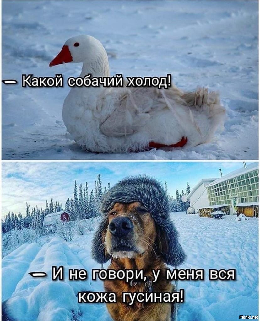 Открытки мороз на улице